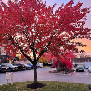 Meet your Posher, Scott